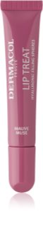 Dermacol Lip Treat hidratáló ajakfény árnyalat 6 Mauve Muse (Red & Blue Berries) 10 ml