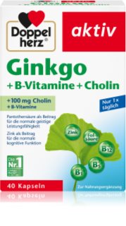 Doppelherz Ginkgo + B-Vitamine + Cholin Kapseln zur Förderung der geistigen Ausgeglichenheit 134 g