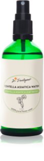 Dr. Feelgood Centella Asiatica Water αποκαταστατικό νερό προσώπου 100 ml