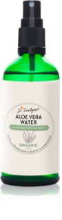 Dr. Feelgood Aloe Vera Water agua facial calmante 100 ml