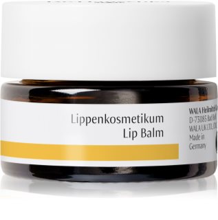 Dr. Hauschka Eye And Lip Care Lippenbalsam mit nahrhaften Effekt 4.5 ml