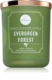 DW Home Signature Evergreen Forest vela perfumada