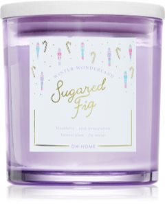 DW Home Winter Wonderland Sugared Fig świeczka zapachowa 510 g
