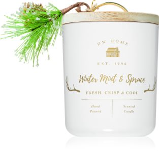DW Home Farmhouse Winter Mint & Spruce lumânare parfumată 244 g