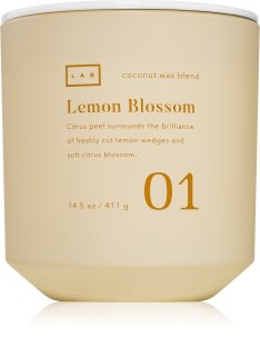 DW Home Lab Lemon Blossom vela perfumada 411 g