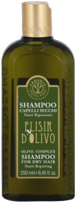 Erbario Toscano Elisir D'Olivo vlasový šampon pro suché vlasy 250 ml
