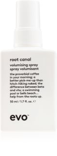 EVO Root Canal Volumising Spray Spray für Volumen von den Ansätzen aus 50 ml