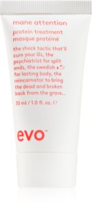 EVO Mane Attention Protein Treatment intensive Maske mit hohem Proteingehalt 30 ml