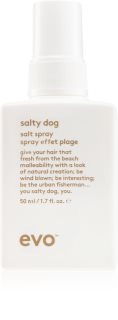 EVO Salty Dog Salt Spray Zoute Spray voor Strand Effect 50 ml