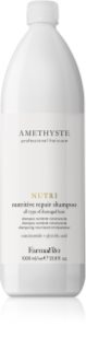 FarmaVita Amethyste Nutri δυναμωτικό σαμπουάν για ταλειπωρημένα μαλλιά