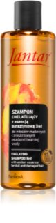 Farmona Jantar Amber Essence szampon do włosów zniszczonych 300 ml