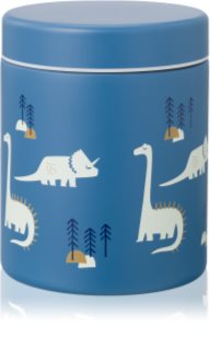FRESK Food Jar thermos pour l'alimentation Dino 500 ml