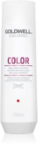 Goldwell Dualsenses Color Shampoo zum Schutz gefärbter Haare 250 ml