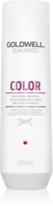 Goldwell Dualsenses Color colour-protecting shampoo 250 ml