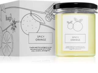 Hagi Spicy Orange lumânare parfumată 230 g