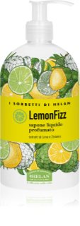 Helan LemonFizz savon liquide doux pour les mains 500 ml