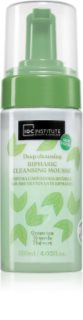 IDC Institute Skin Food foam cleanser for the face 120 ml