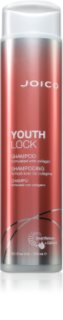 Joico YouthLock Shampoo gaivinamasis šampūnas 300 ml