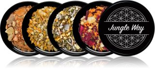 Jungle Way Discovery set Elevate Your Routine incense