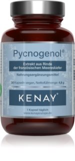 Kenay Pycnogenol® French marine pine bark Kapseln für Ihr Wohlbefinden