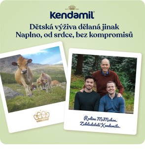 Kendamil BIO Nature 2 HMO+ modyfikowane mleko następne dla niemowląt 800 g