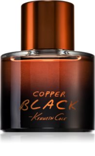 Kenneth Cole Copper Black toaletna voda za moške 100 ml
