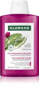 Klorane Prickly Pear intensiivselt niisutav šampoon