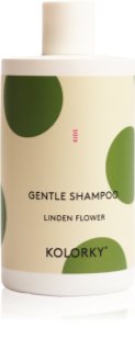 Kolorky Men 2 in 1 Hair & Body Wash gel de douche corps et cheveux pour homme Green Vetiver Wood 490 ml