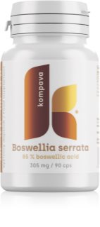 Kompava Boswellia serrata výživový doplnok na podporu zdravia pohybovej sústavy 90 cps