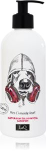 LaQ Music Purifies Cool Dogy Duschtvål och schampo 2-i-1 300 ml