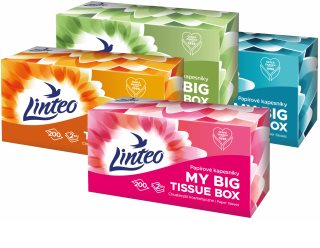 Linteo Paper Tissues Two-ply Paper, 200 pcs per box pabersalvrätikud 200 tk