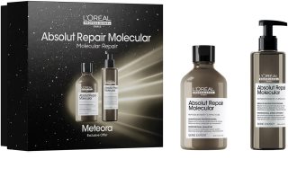 L’Oréal Professionnel Serie Expert Absolut Repair Molecular Geschenkset für beschädigtes Haar