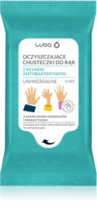 Luba Antibacterial Wet Wipes vlažne maramice za čišćenje za ruke 15 kom