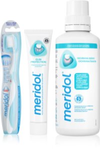 Meridol Gum Protection komplekt hammastele