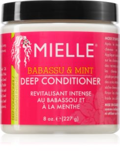 Mielle Babassu & Mint balsamo di nutrimento profondo 227 g