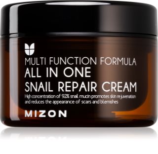 Mizon Multi Function Formula  Snail regeneráló krém csiga szekréció 92% szűrletével