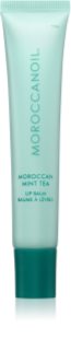 Moroccanoil Lip Balm balzam na pery