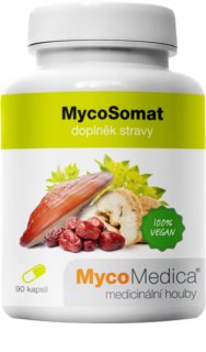 MycoMedica MycoSomat kapsle pro duševní pohodu 90 cps