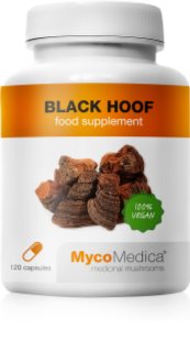 MycoMedica Black Hoof 30% wsparcie prawidłowych funkcji organizmu 90 caps.