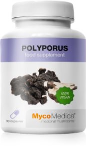 MycoMedica Polyporus 30% kapsułki na piękne włosy i skórę 90 caps.