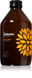 Vigo Kombucha BIO probiotický nápoj příchuť Acerola & Ginger 330 ml