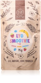 NATU Lyo mix smoothie mrazem sušené ovoce