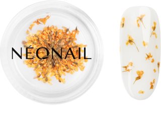 NEONAIL Dried Flowers fleur séchée ongles