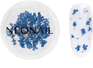 NEONAIL Dried Flowers sušený kvet na nechty odtieň 04 Navy 1 ks