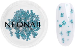 NEONAIL Dried Flowers sušený kvet na nechty odtieň 05 Turquoise 1 ks
