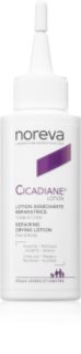 Noreva Cicadiane Repairing Drying Lotion Austrocknende und erneuernde Pflege 100 ml