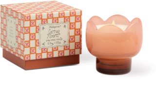 Paddywax Tulip Cactus Flower lõhnaküünal 155 g