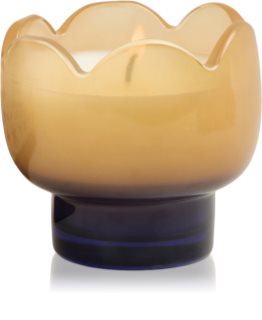 Paddywax Tulip Garden & Grove duftlys 155 g