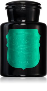 Paddywax Apothecary Noir Tabac & Pine vonná svíčka 226 g
