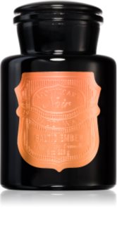 Paddywax Apothecary Noir Baltic Ember duftlys 226 g